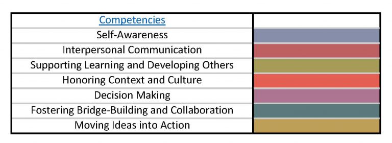 Competencies_Leadership