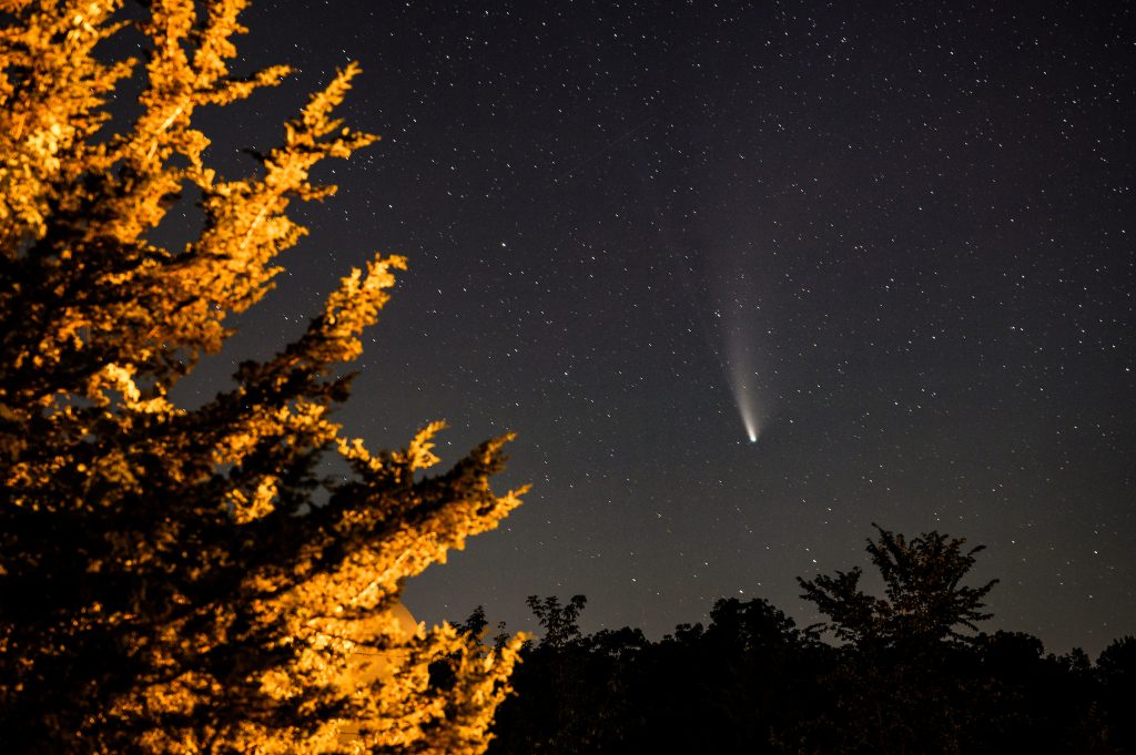 photo: nightime sky with a visible comet pointed toward the horizon. A tree at left is lit dimly by streetlights.