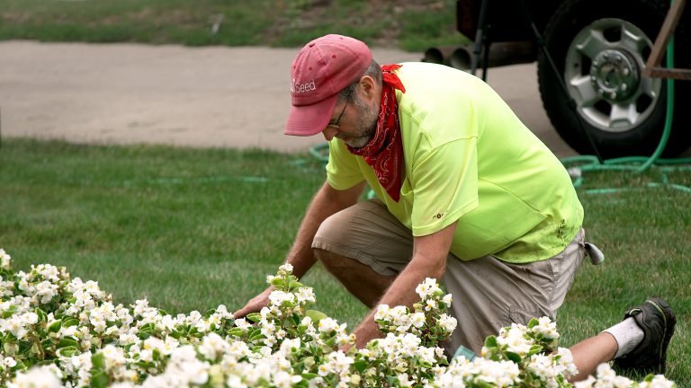 person wearing a ballcap, fluorescent t-shirt, and shorts kneels beside a flower bed to work