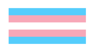 blue, pink, and white horizontal stripes representing the transgender flag